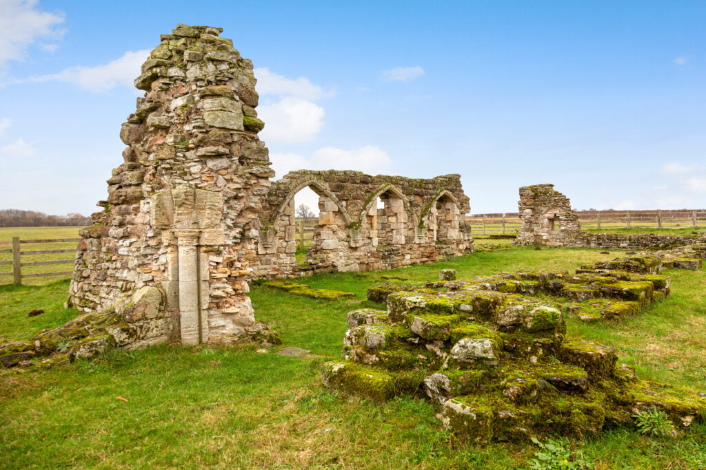 image 14