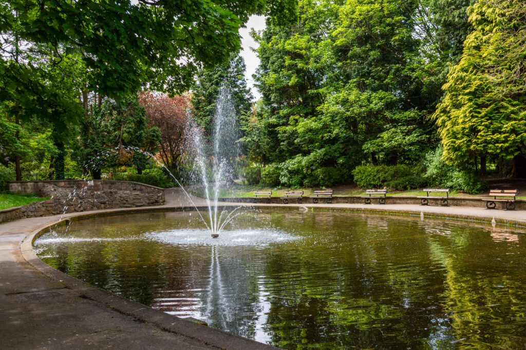 image 12