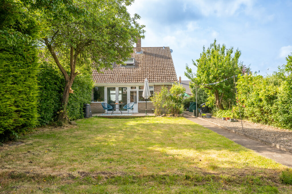 image 25