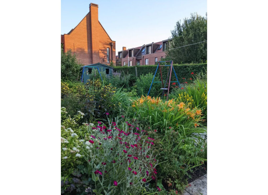 image 27
