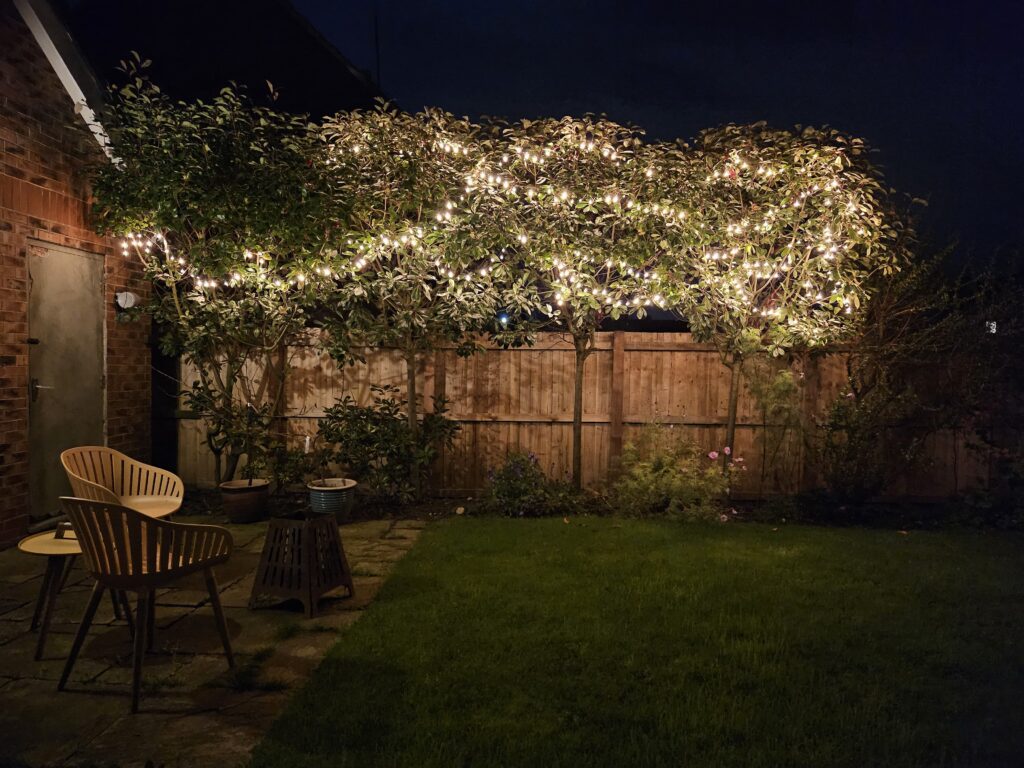 image 24