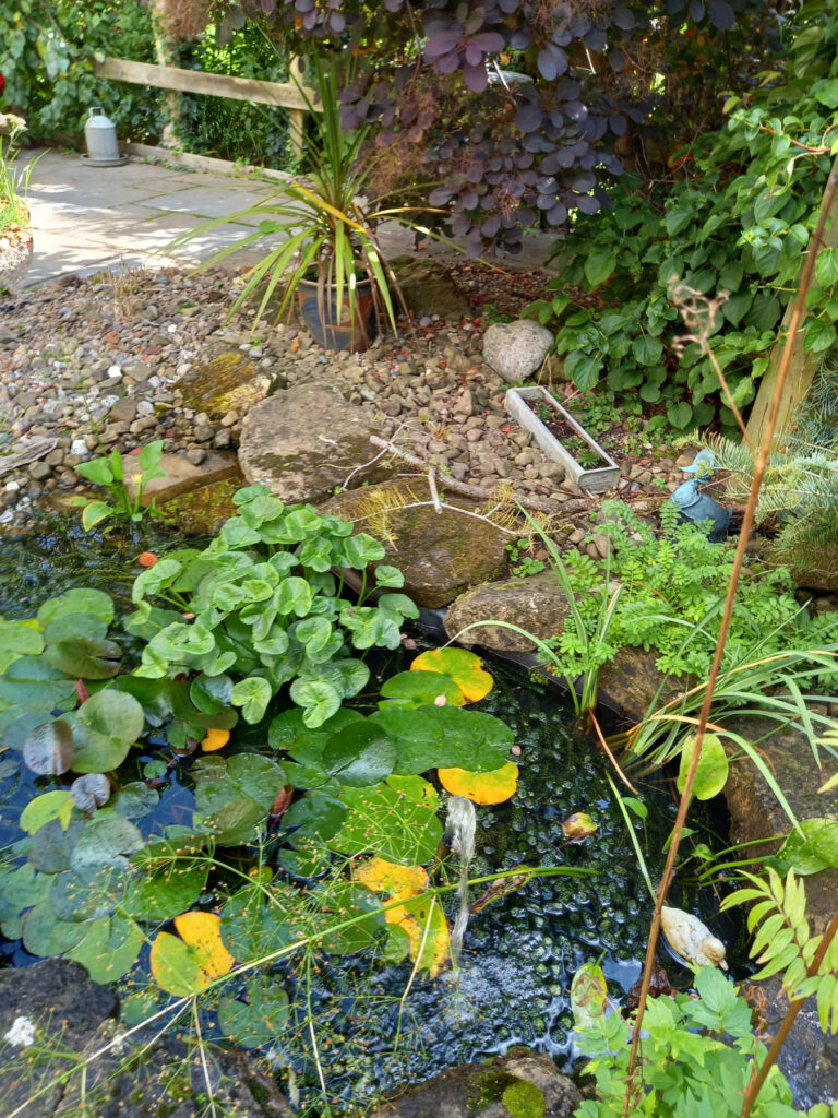 image 26