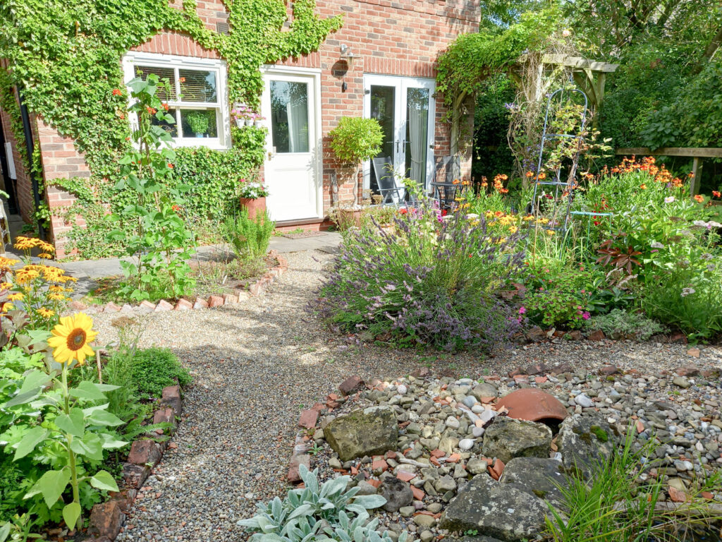 image 27