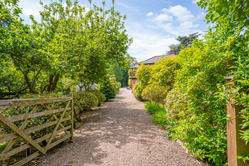 image 29