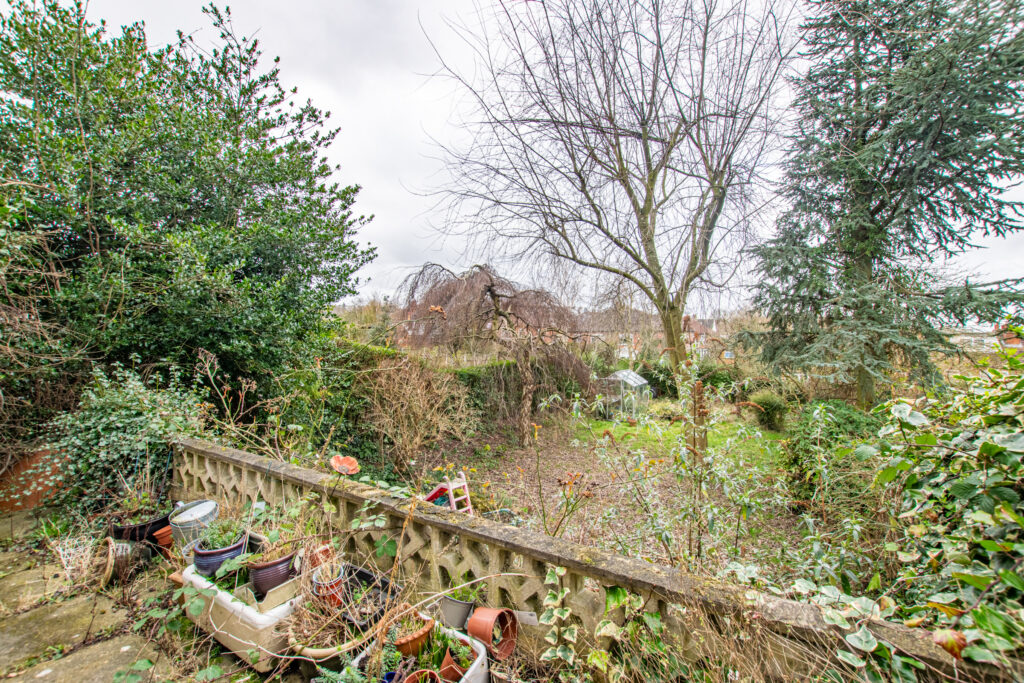 image 33