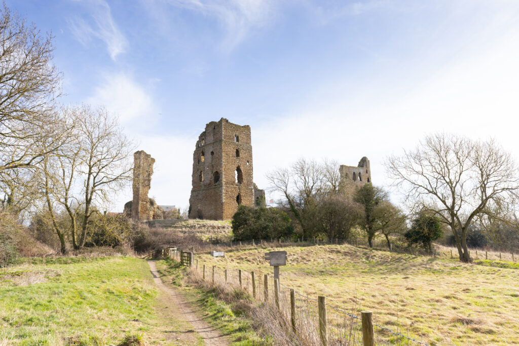image 18