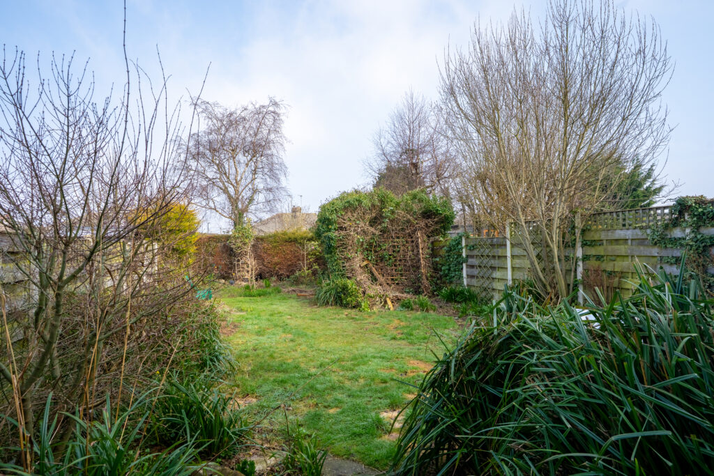 image 29