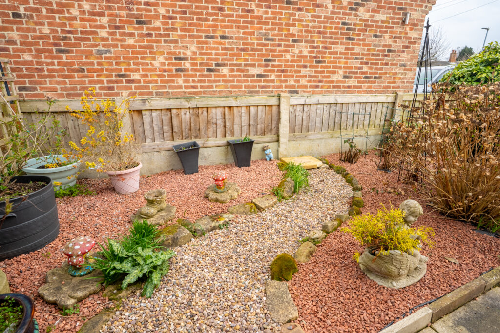 image 25