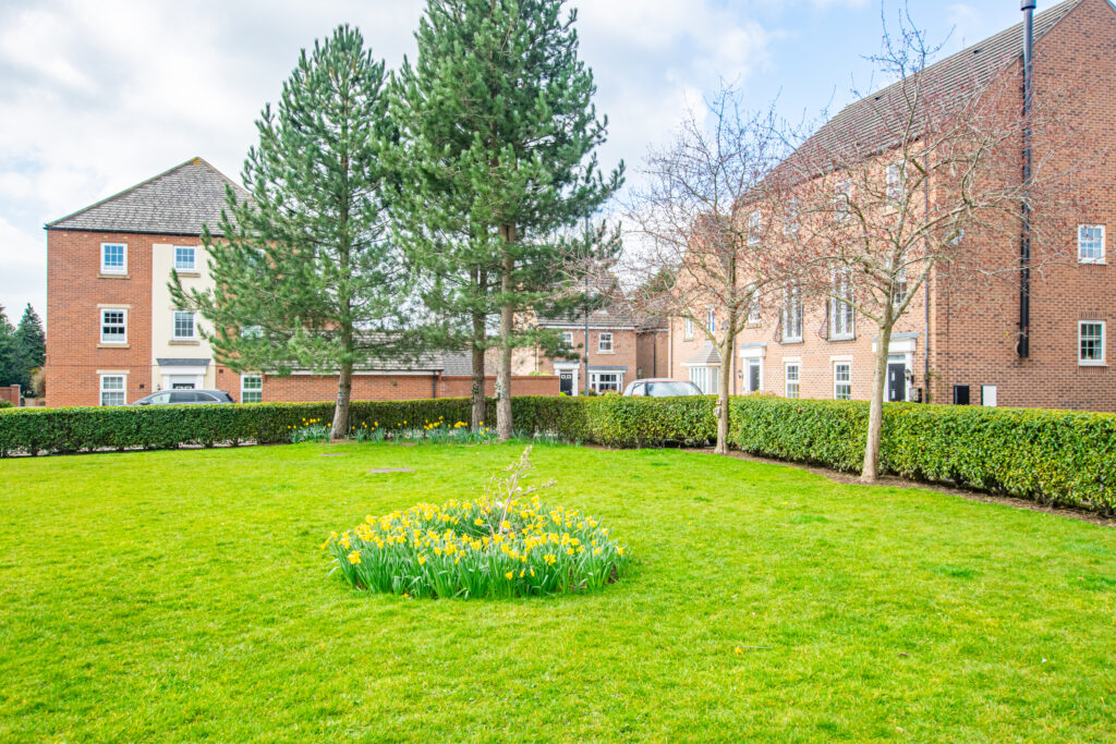 image 25