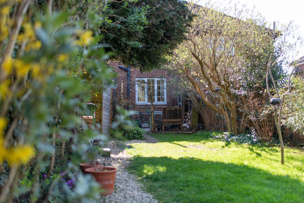 image 25