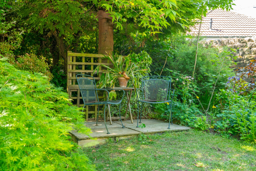 image 25