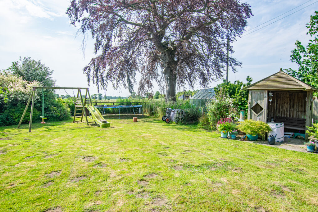 image 29
