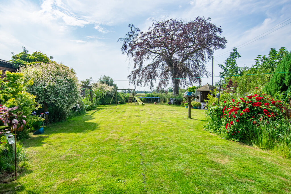 image 25