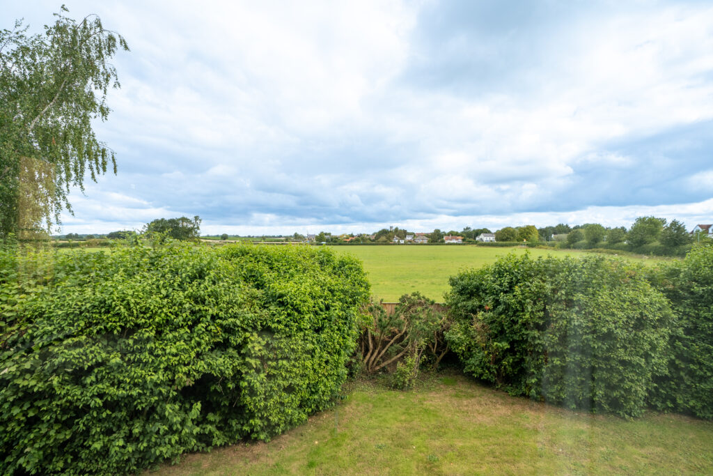 image 28