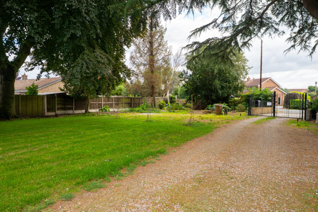 image 38