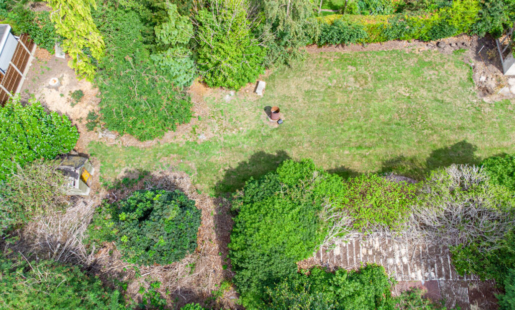 image 24