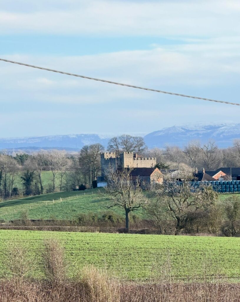image 17