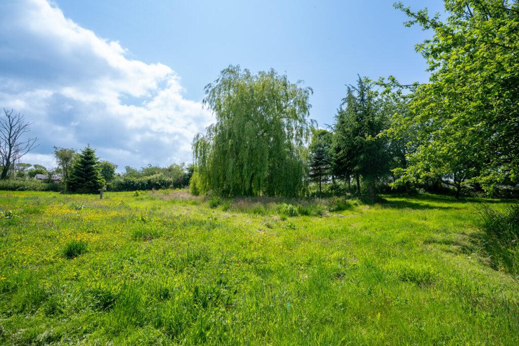 image 29