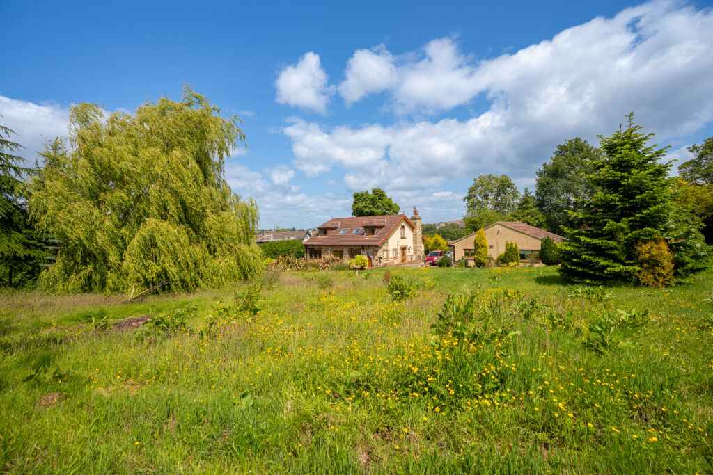 image 28
