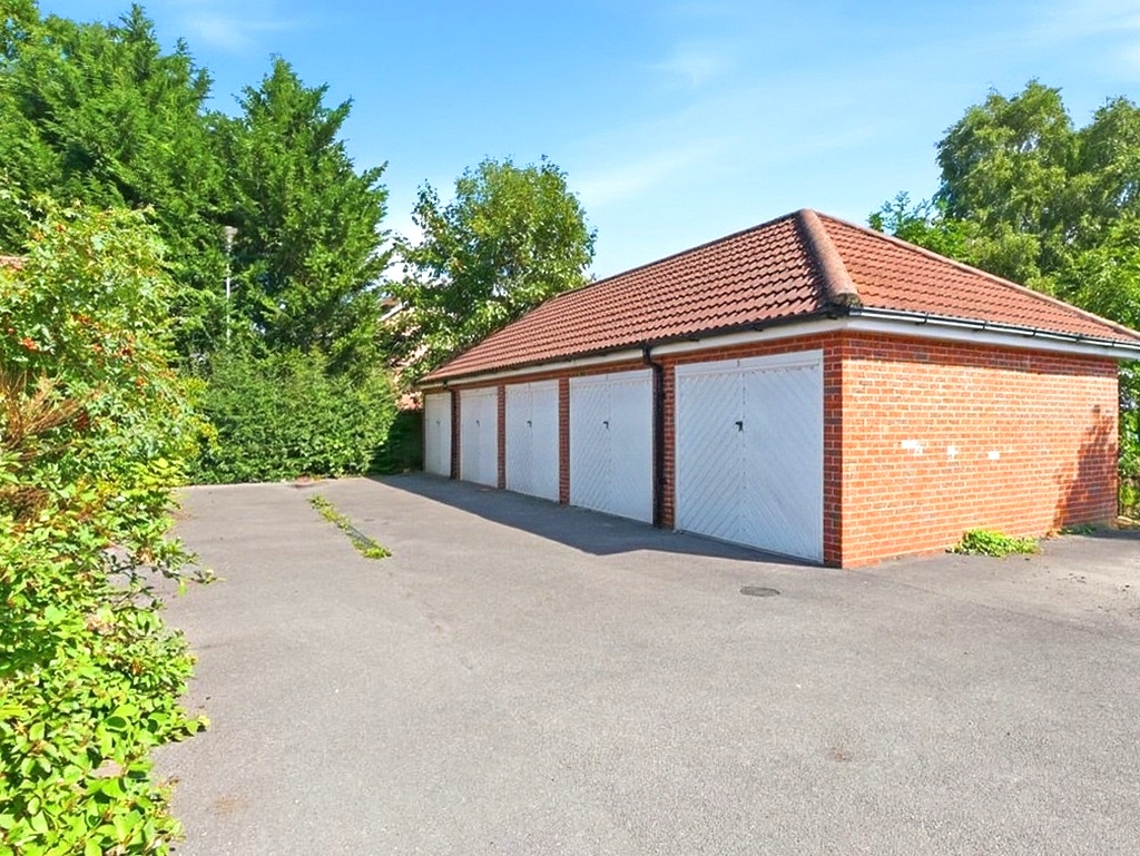 image 21