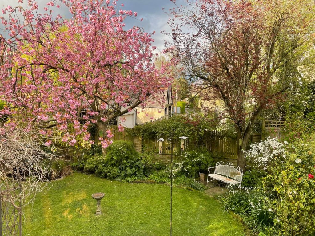 image 28