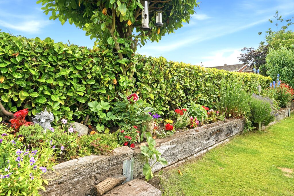 image 55