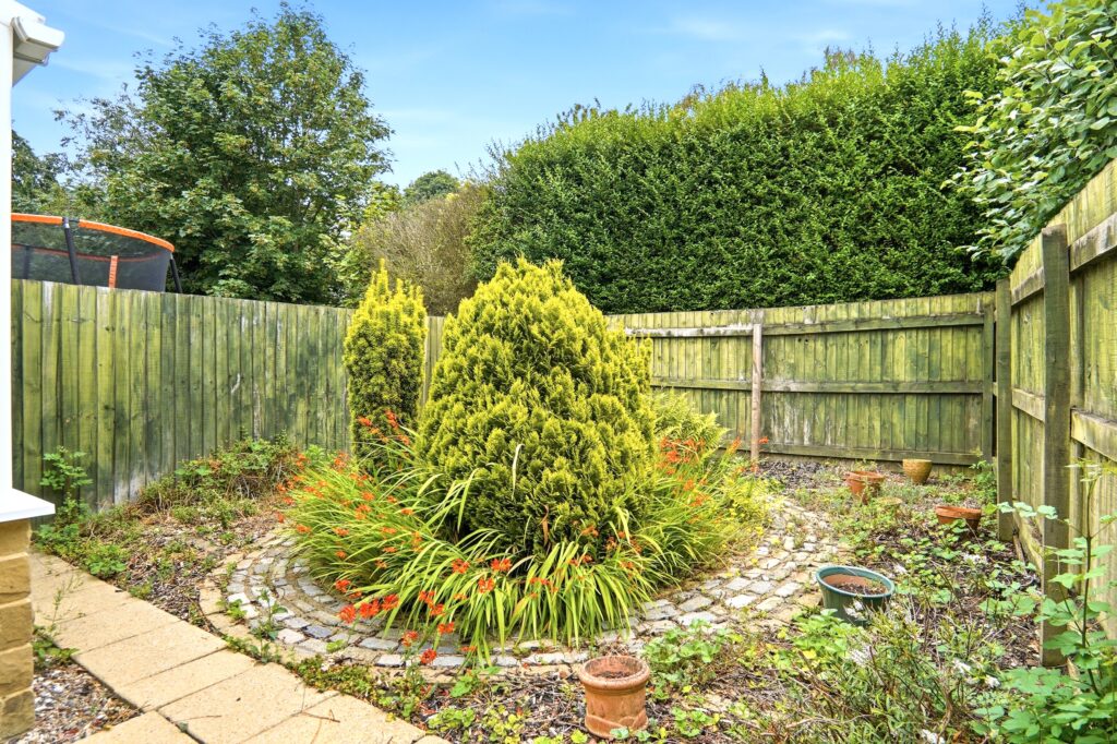 image 25
